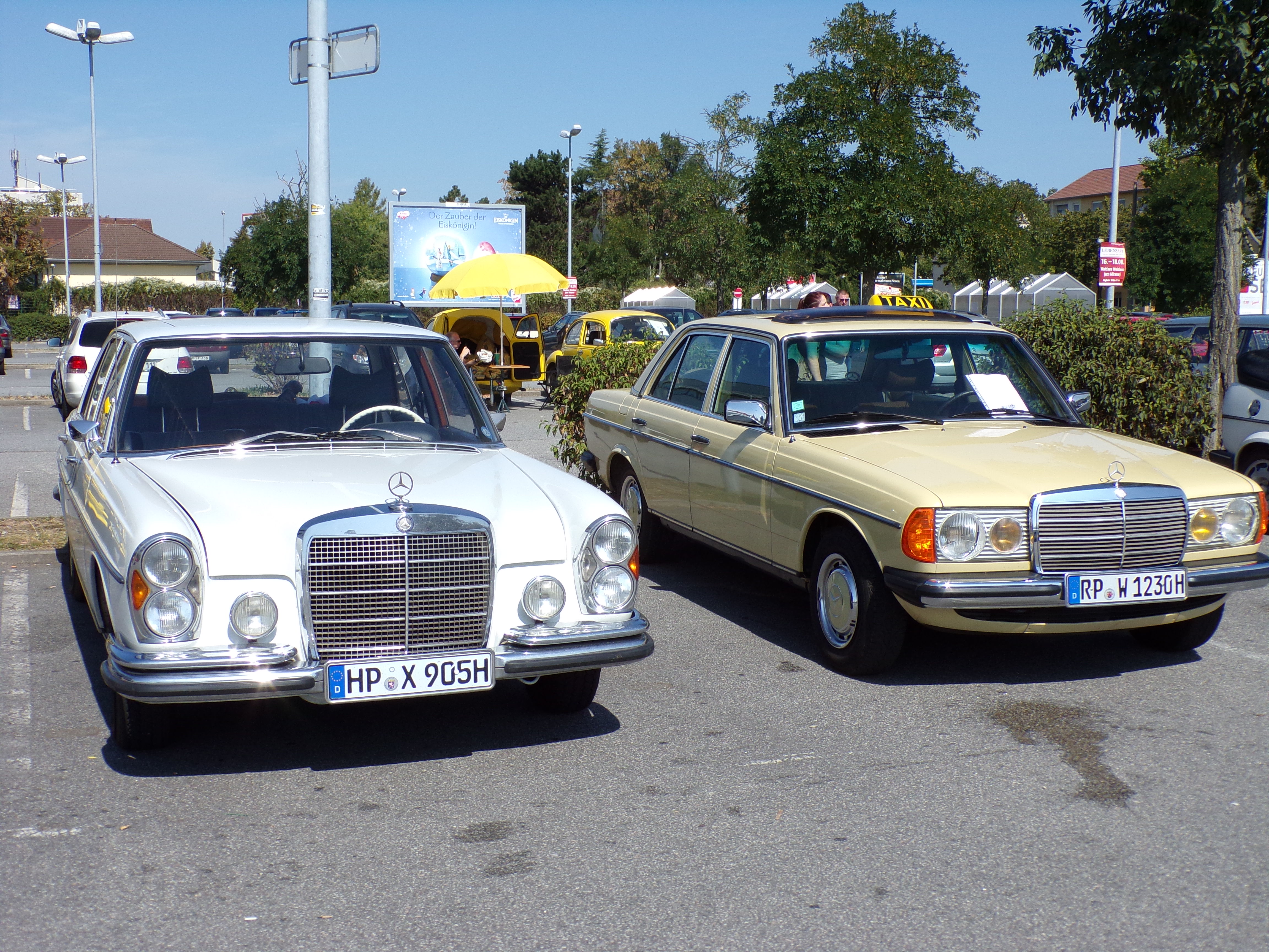 3. Frankenthal Classics