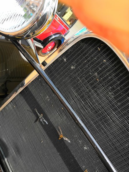 Hier einige Impressionen …