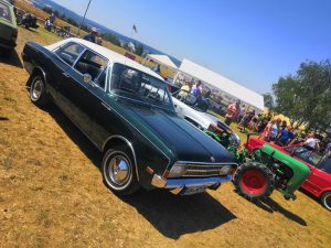 Hier einige Impressionen …