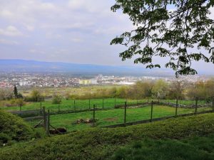 April-Ausfahrt von AutoKlassik Worms