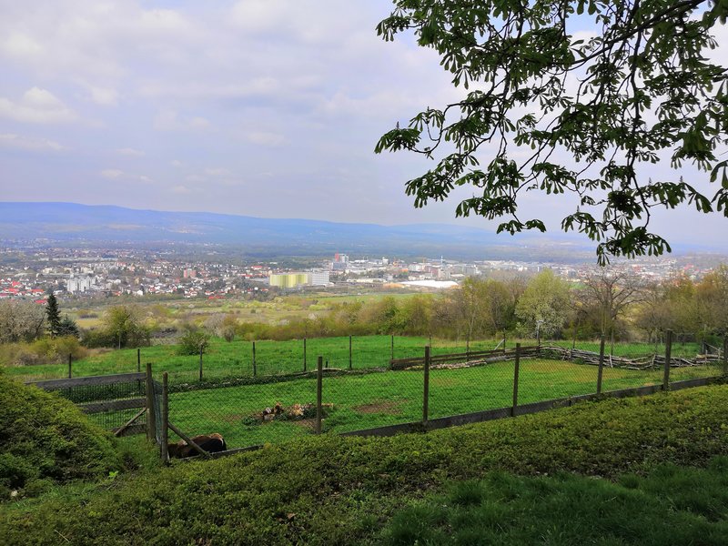 April-Ausfahrt von AutoKlassik Worms