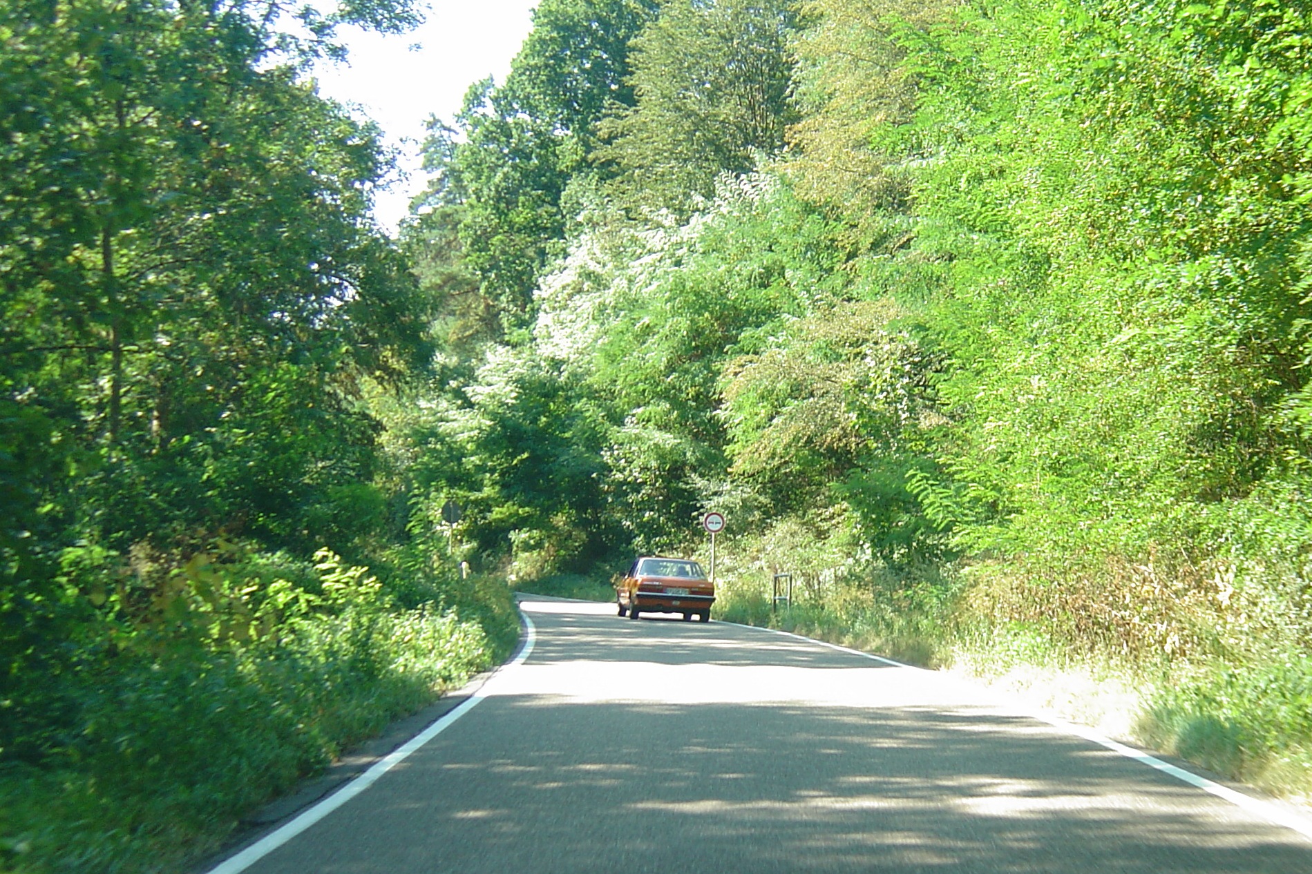 3. Frankenthal Classics