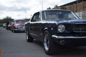 4. Frankenthal Classics