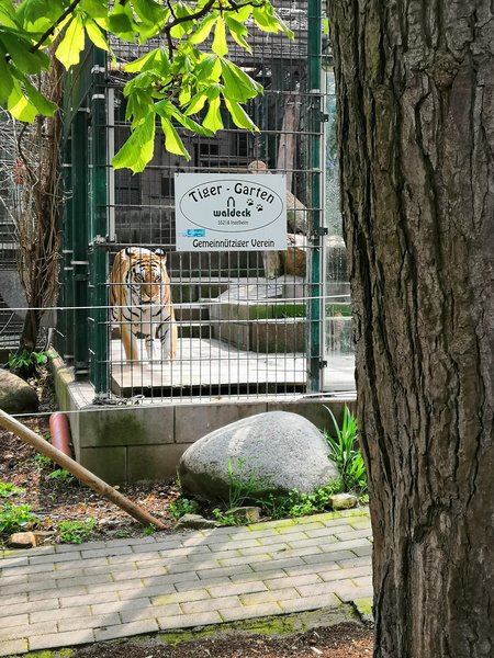 April-Ausfahrt von AutoKlassik Worms