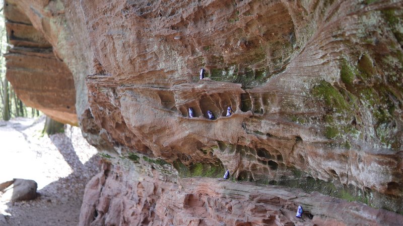 Karfreitags-Wanderung